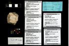 Foto (Objekt + Etikett) von Tanidromites sp.  (NHMW-GEO-1990-0041-4397a)